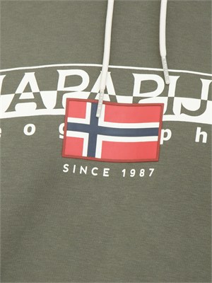 Felpa Aylmer Napapijri in caldo cotone verde in UOMO