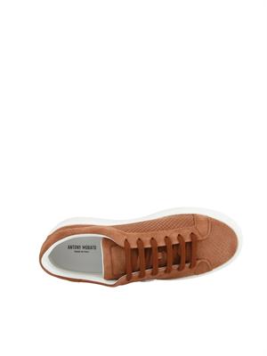 Sneaker ruggine Antony Morato in camoscio in UOMO