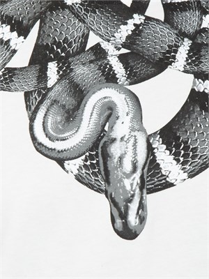 T-shirt County of Milan in cotone bianco stampa serpente in UOMO